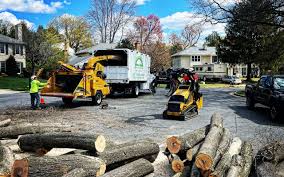 Best Commercial Tree Services  in Williamsburg, VA