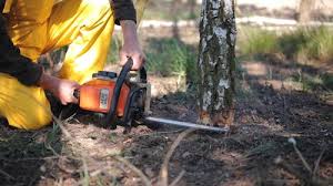 Best Lawn Irrigation Installation and Maintenance  in Williamsburg, VA