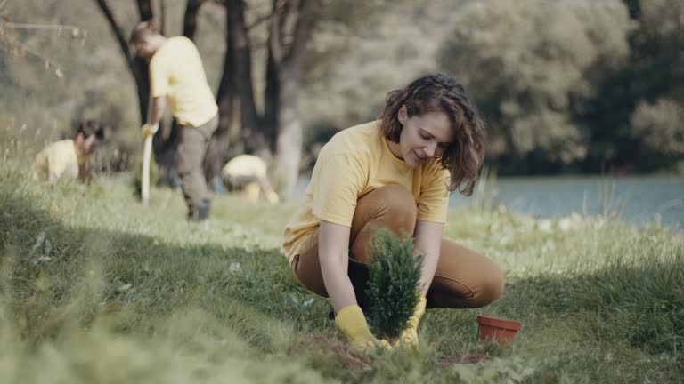 Best Pest Control for Lawns  in Williamsburg, VA
