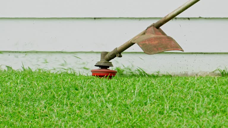 Best Weed Control  in Williamsburg, VA